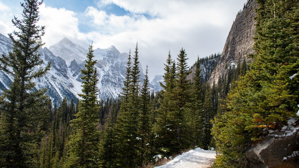 Tomyhoi Peak — Fall colors & North Cascades views
