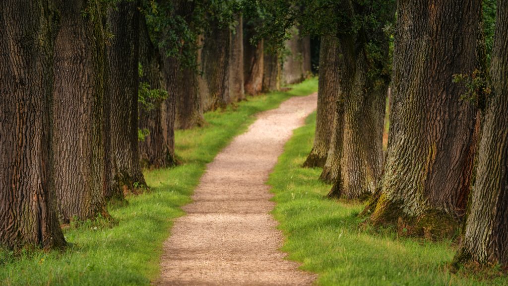 Urban Hiking: Redmond in Autumn